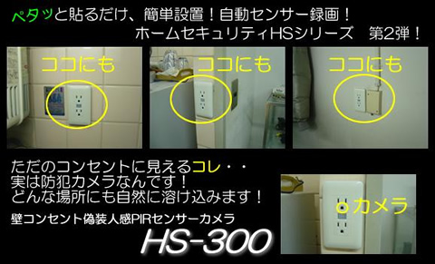 ���󥻥�ȷ��ӥǥ�������HS-300��