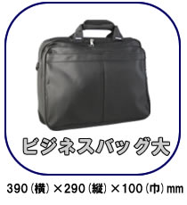 探偵・調査業の必需品　CN-PL2専用証拠撮りバッグ【PL-BAG】ビジネスバッグ大