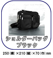 探偵・調査業の必需品　CN-PL2専用証拠撮りバッグ【PL-BAG】ショルダーバッグ（ブラック）