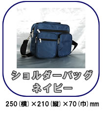 探偵・調査業の必需品　CN-PL2専用証拠撮りバッグ【PL-BAG】ショルダーバッグ（ネイビー）
